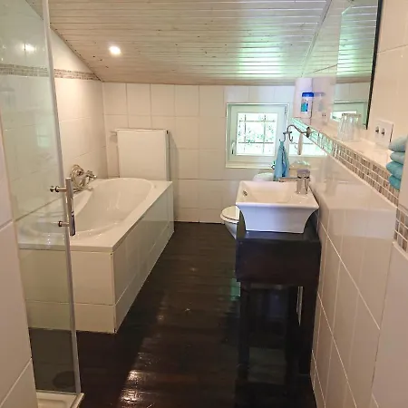 公寓 Ferienwohnung Sonnwendwand 基姆高的阿绍